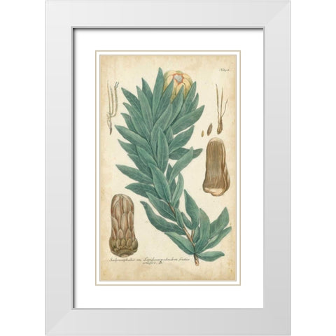 Weinmann Conifers I White Modern Wood Framed Art Print with Double Matting by Weinmann