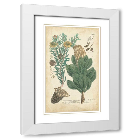 Weinmann Conifers III White Modern Wood Framed Art Print with Double Matting by Weinmann