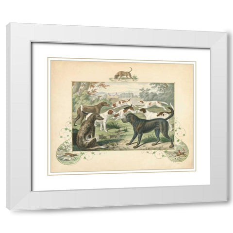 A Group of Hounds White Modern Wood Framed Art Print with Double Matting by Unknown