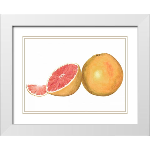 Watercolor Grapefruit White Modern Wood Framed Art Print with Double Matting by Willett, Michael