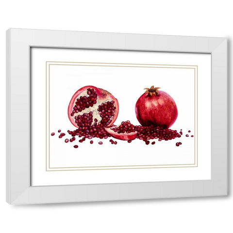 Watercolor Pomegranate White Modern Wood Framed Art Print with Double Matting by Willett, Michael