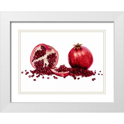 Watercolor Pomegranate White Modern Wood Framed Art Print with Double Matting by Willett, Michael