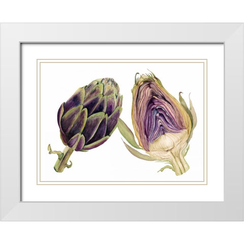 Watercolor Artichoke White Modern Wood Framed Art Print with Double Matting by Willett, Michael
