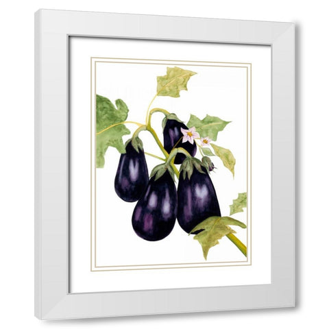Watercolor Eggplant White Modern Wood Framed Art Print with Double Matting by Willett, Michael