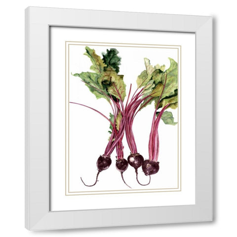 Watercolor Beets White Modern Wood Framed Art Print with Double Matting by Willett, Michael