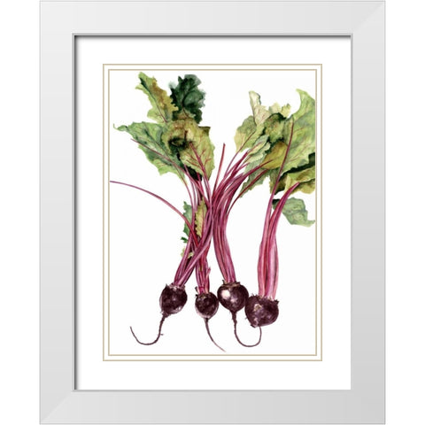 Watercolor Beets White Modern Wood Framed Art Print with Double Matting by Willett, Michael