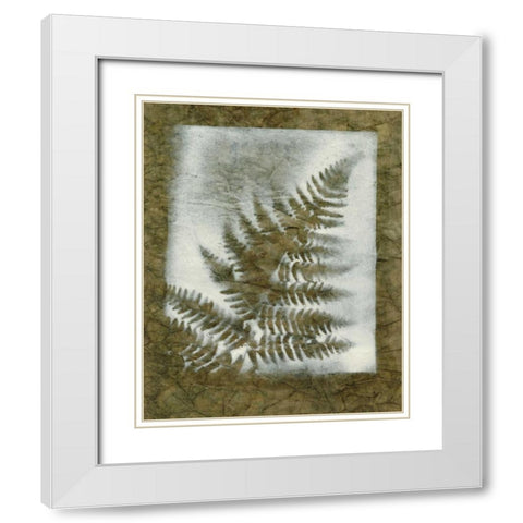 Shadows and Ferns I White Modern Wood Framed Art Print with Double Matting by Stramel, Renee W.