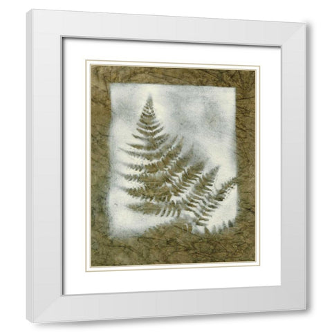Shadows and Ferns II White Modern Wood Framed Art Print with Double Matting by Stramel, Renee W.