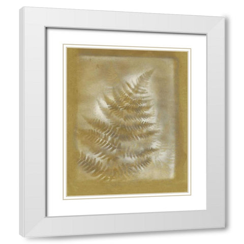 Shadows and Ferns III White Modern Wood Framed Art Print with Double Matting by Stramel, Renee W.