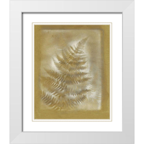 Shadows and Ferns III White Modern Wood Framed Art Print with Double Matting by Stramel, Renee W.