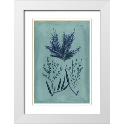 Indigo and Azure Seaweed I White Modern Wood Framed Art Print with Double Matting by Vision Studio