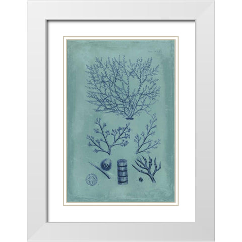 Indigo and Azure Seaweed III White Modern Wood Framed Art Print with Double Matting by Vision Studio