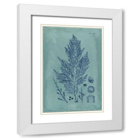 Indigo and Azure Seaweed IV White Modern Wood Framed Art Print with Double Matting by Vision Studio