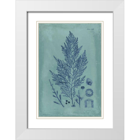 Indigo and Azure Seaweed IV White Modern Wood Framed Art Print with Double Matting by Vision Studio