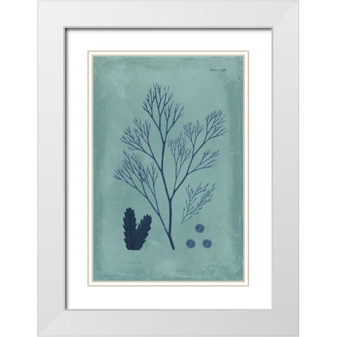 Indigo and Azure Seaweed V White Modern Wood Framed Art Print with Double Matting by Vision Studio