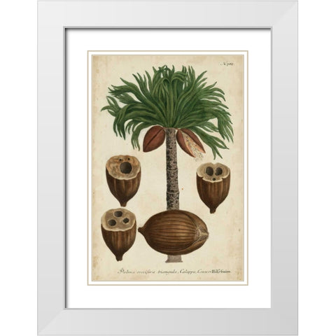 Vintage Tropicals I White Modern Wood Framed Art Print with Double Matting by Weinmann
