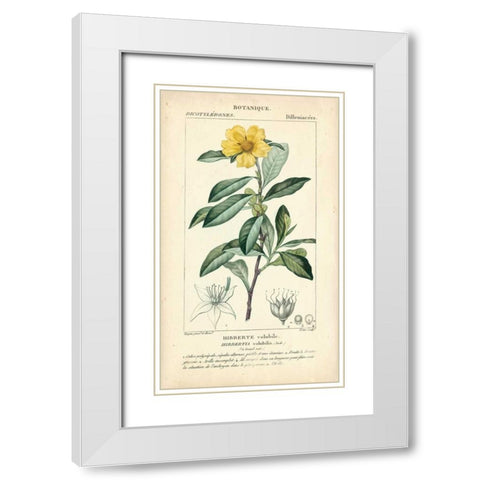 Botanique Study in Yellow I White Modern Wood Framed Art Print with Double Matting by Turpin