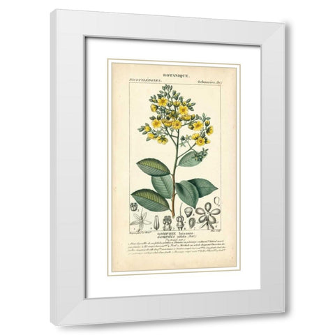 Botanique Study in Yellow II White Modern Wood Framed Art Print with Double Matting by Turpin