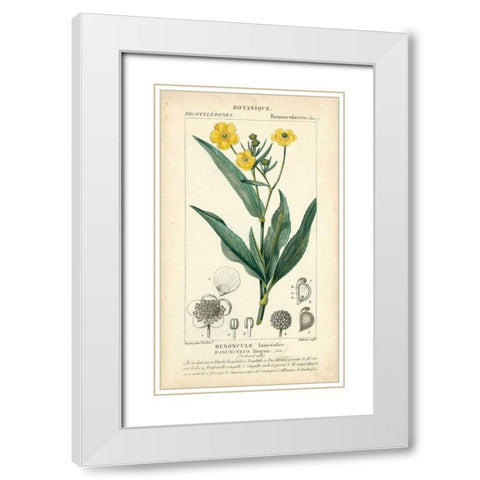 Botanique Study in Yellow III White Modern Wood Framed Art Print with Double Matting by Turpin