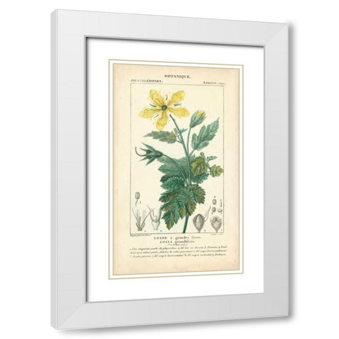 Botanique Study in Yellow IV White Modern Wood Framed Art Print with Double Matting by Turpin