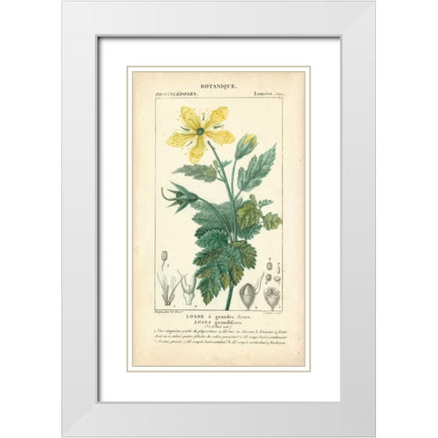 Botanique Study in Yellow IV White Modern Wood Framed Art Print with Double Matting by Turpin