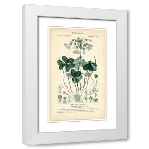 Botanique Study in Lavender I White Modern Wood Framed Art Print with Double Matting by Turpin
