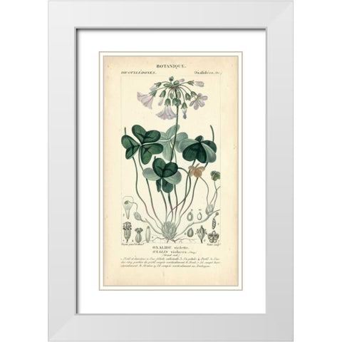 Botanique Study in Lavender I White Modern Wood Framed Art Print with Double Matting by Turpin