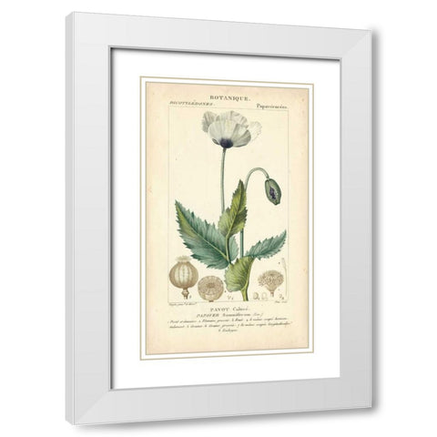 Botanique Study in Lavender II White Modern Wood Framed Art Print with Double Matting by Turpin