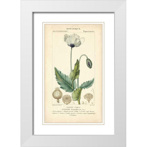 Botanique Study in Lavender II White Modern Wood Framed Art Print with Double Matting by Turpin