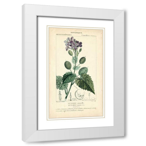Botanique Study in Lavender III White Modern Wood Framed Art Print with Double Matting by Turpin