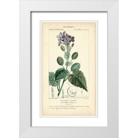 Botanique Study in Lavender III White Modern Wood Framed Art Print with Double Matting by Turpin