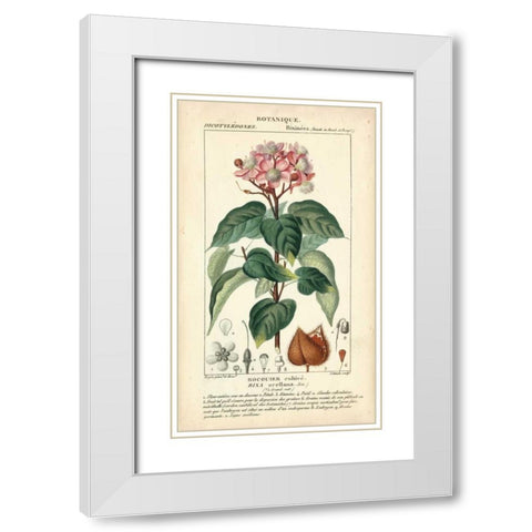 Botanique Study in Pink I White Modern Wood Framed Art Print with Double Matting by Turpin