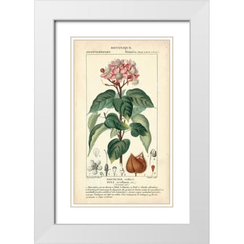 Botanique Study in Pink I White Modern Wood Framed Art Print with Double Matting by Turpin