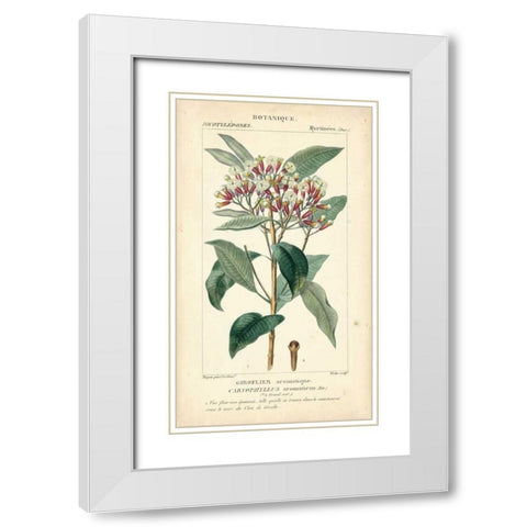 Botanique Study in Pink II White Modern Wood Framed Art Print with Double Matting by Turpin