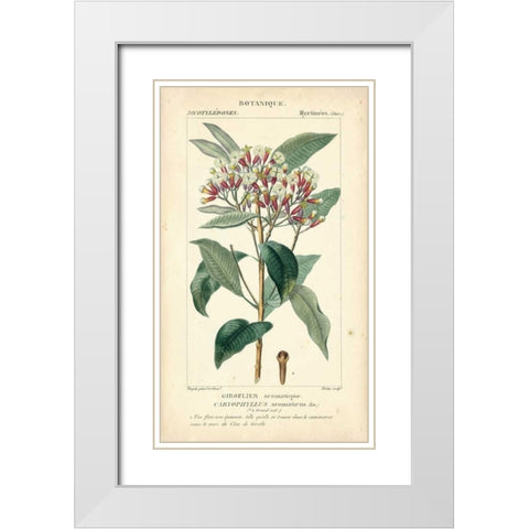 Botanique Study in Pink II White Modern Wood Framed Art Print with Double Matting by Turpin