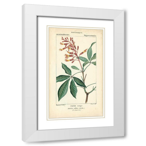 Botanique Study in Pink III White Modern Wood Framed Art Print with Double Matting by Turpin