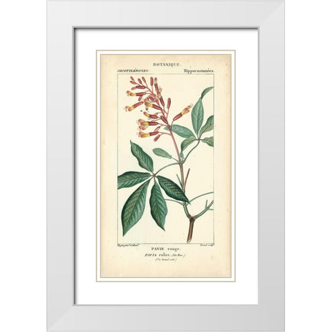 Botanique Study in Pink III White Modern Wood Framed Art Print with Double Matting by Turpin