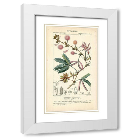 Botanique Study in Pink IV White Modern Wood Framed Art Print with Double Matting by Turpin