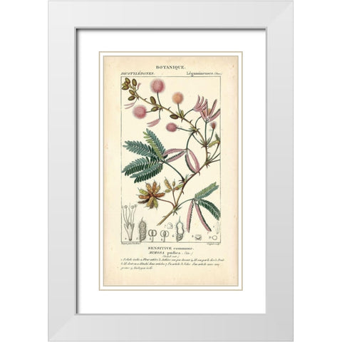 Botanique Study in Pink IV White Modern Wood Framed Art Print with Double Matting by Turpin