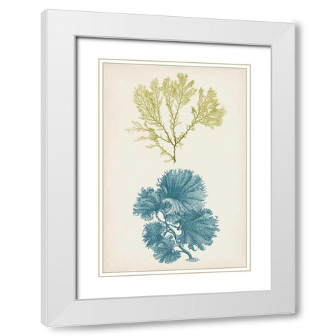 Aqua and Citron Coral I White Modern Wood Framed Art Print with Double Matting by Vision Studio