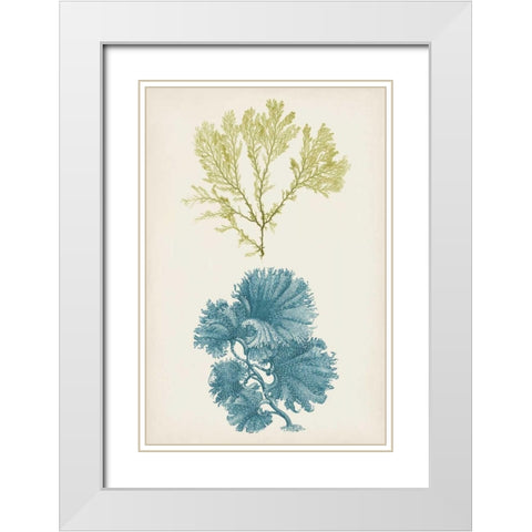 Aqua and Citron Coral I White Modern Wood Framed Art Print with Double Matting by Vision Studio