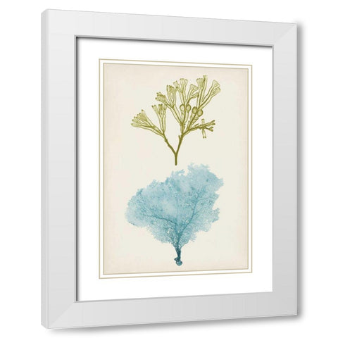 Aqua and Citron Coral II White Modern Wood Framed Art Print with Double Matting by Vision Studio