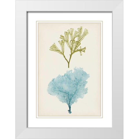 Aqua and Citron Coral II White Modern Wood Framed Art Print with Double Matting by Vision Studio