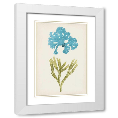 Aqua and Citron Coral III White Modern Wood Framed Art Print with Double Matting by Vision Studio