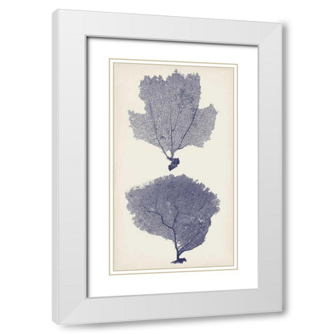 Indigo Seafans I White Modern Wood Framed Art Print with Double Matting by Vision Studio