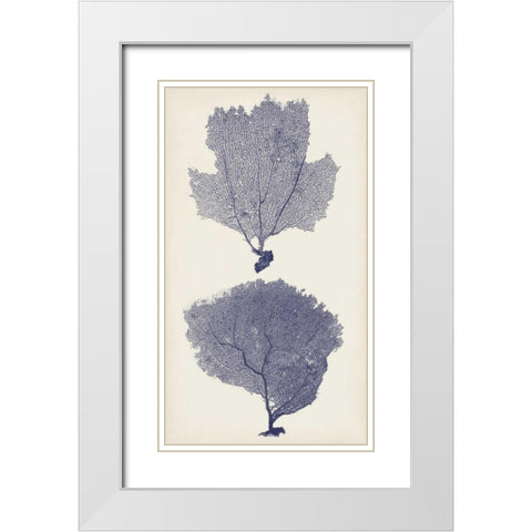 Indigo Seafans I White Modern Wood Framed Art Print with Double Matting by Vision Studio