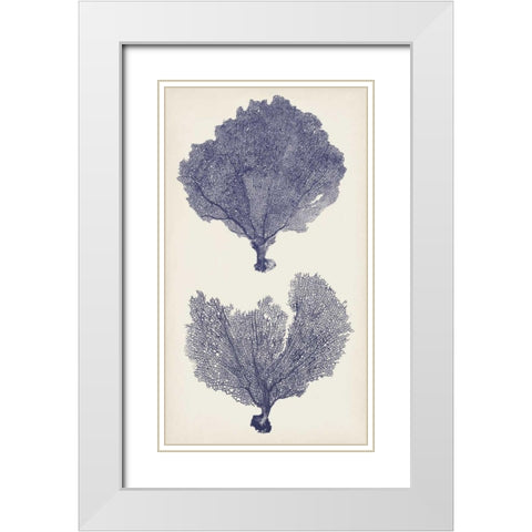 Indigo Seafans II White Modern Wood Framed Art Print with Double Matting by Vision Studio