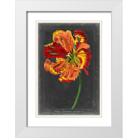 Midnight Tulip I White Modern Wood Framed Art Print with Double Matting by Vision Studio