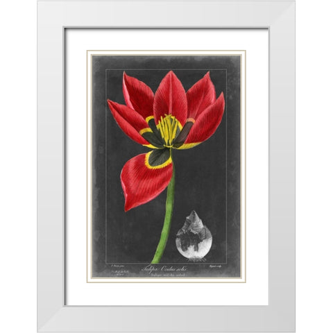 Midnight Tulip II White Modern Wood Framed Art Print with Double Matting by Vision Studio