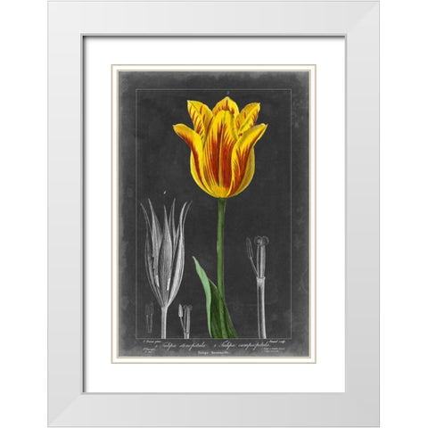 Midnight Tulip V White Modern Wood Framed Art Print with Double Matting by Vision Studio